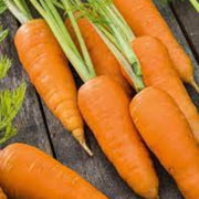 Red Cored Chantenay Carrot Seeds