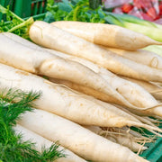 White Carrot Seeds