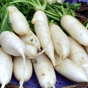 White Carrot Seeds