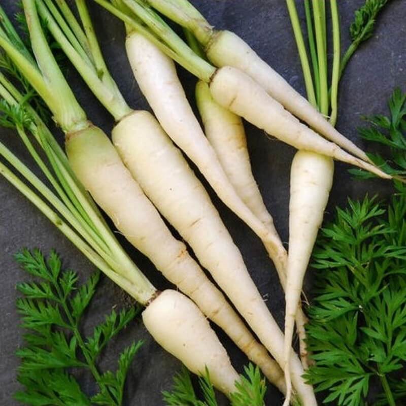 White Carrot Seeds