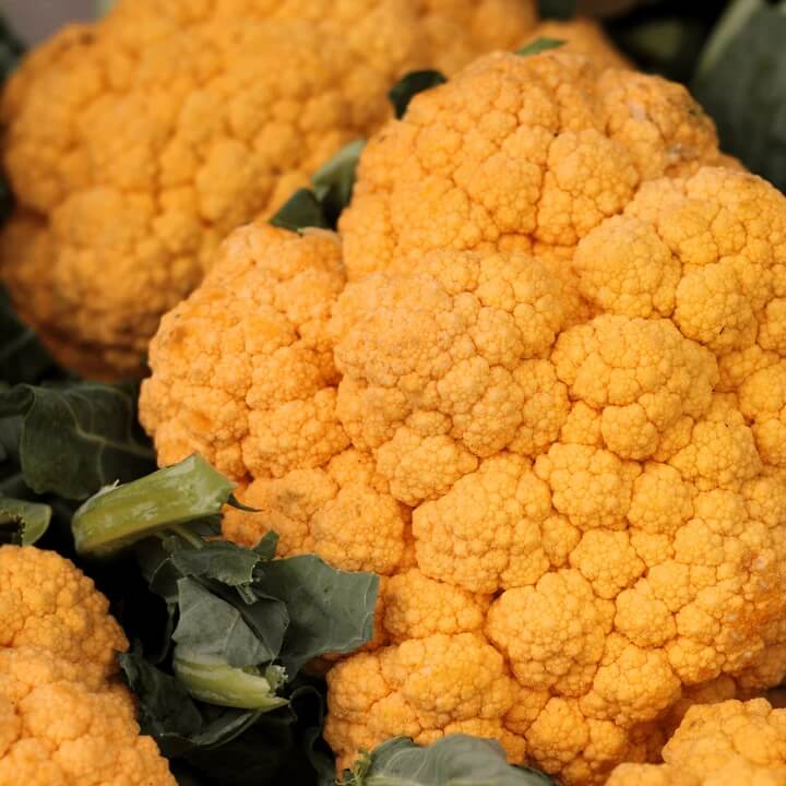 Orange Seeds, Brassica oleracea var. botrytis