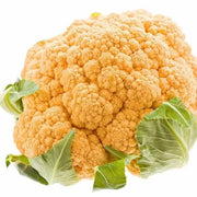 Orange Seeds, Brassica oleracea var. botrytis