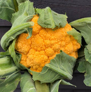 Yellow Cauliflower Seeds