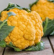 Yellow Cauliflower Seeds