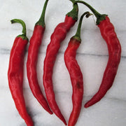 Long Red Hot Cayenne Pepper Seeds