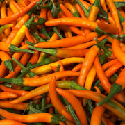 Heirloom Cayenne Pepper Seeds