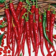 Long Red Slim Cayenne Pepper Seeds