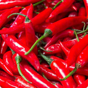 Red Thick Cayenne Pepper Seeds