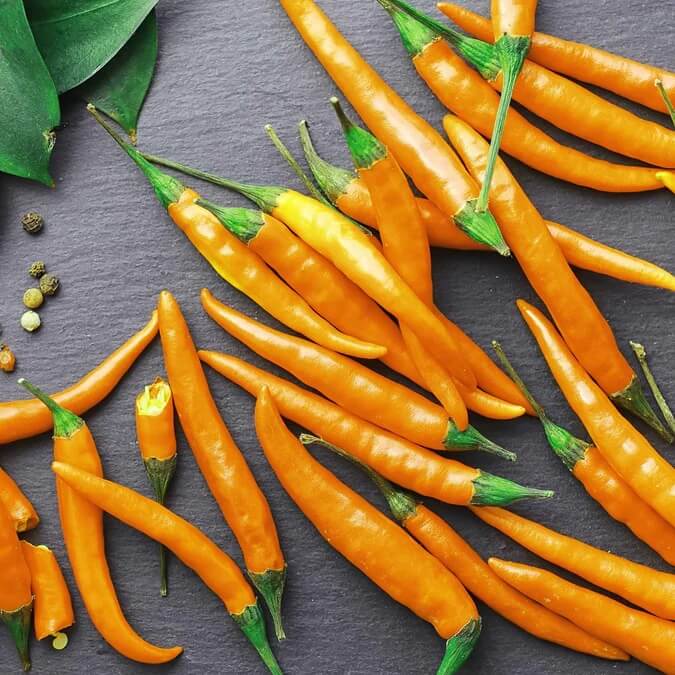 Heirloom Cayenne Pepper Seeds