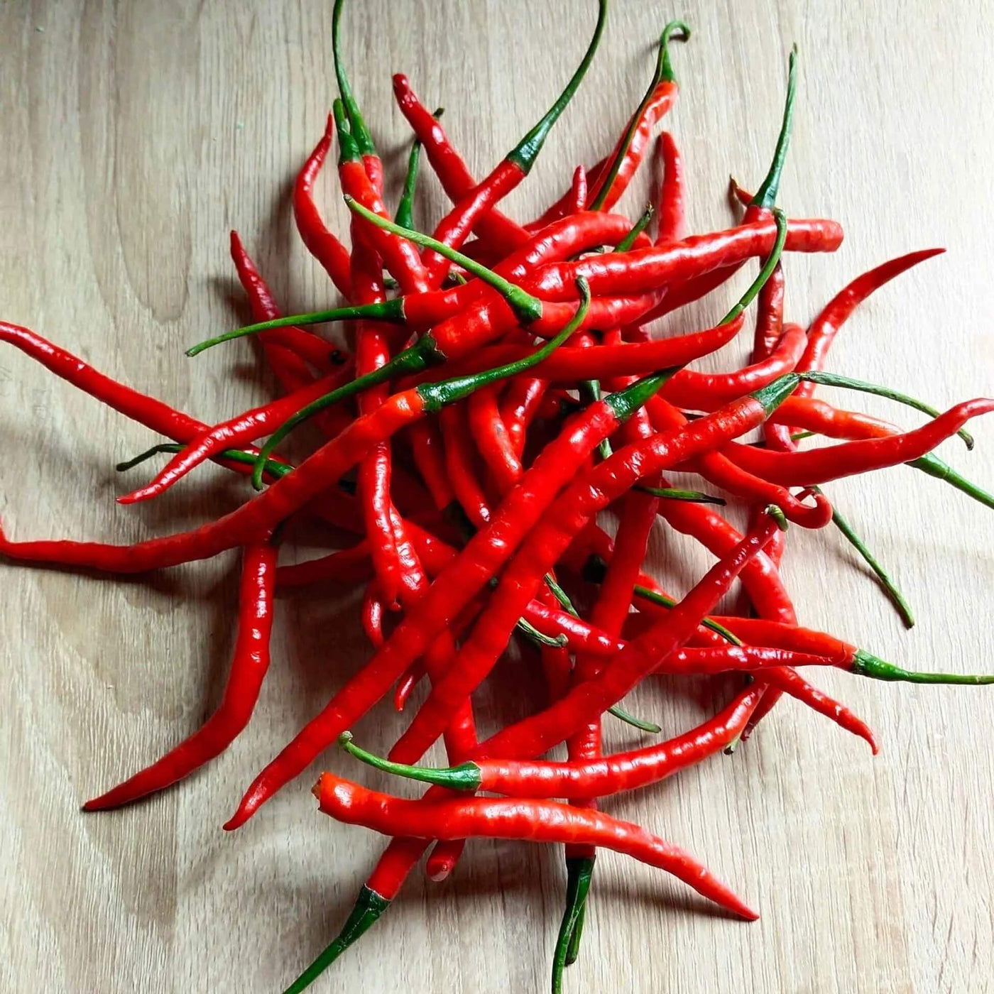 Long Red Hot Cayenne Pepper Seeds
