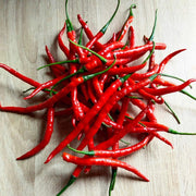 Long Red Hot Cayenne Pepper Seeds