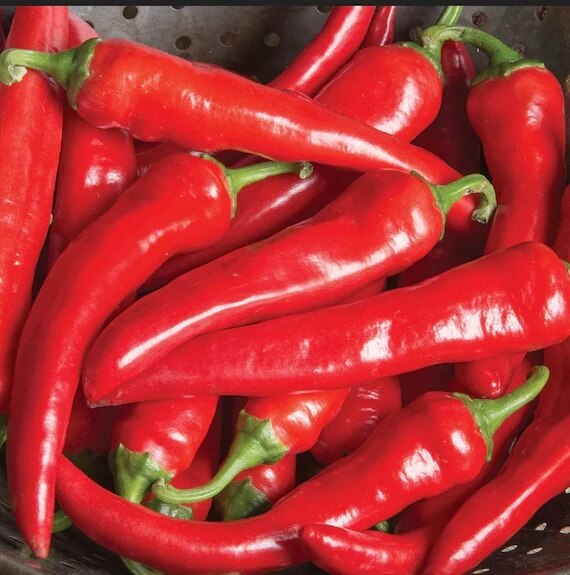 Red Thick Cayenne Pepper Seeds