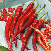Red Thick Cayenne Pepper Seeds