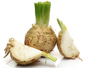 Giant Celery Root Seeds, Herbal