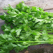 Chinese Celery Seeds