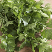 Apium graveolens Celery Seeds