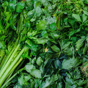Celery Tall Utah Seeds - Vegetable Plant For Home Gardens
