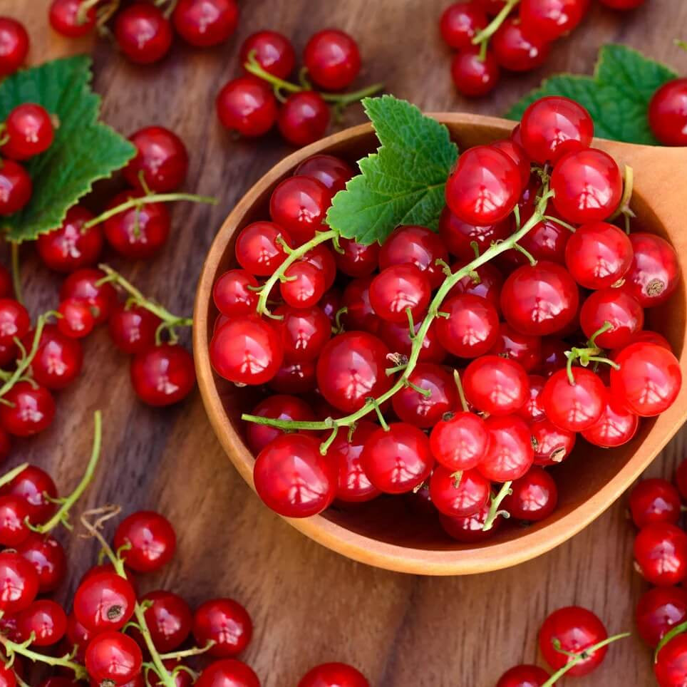 Cereum Berry Seeds