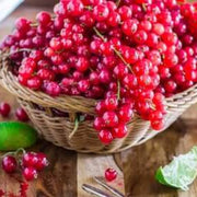 Cereum Berry Seeds