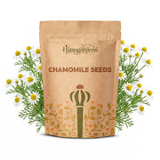 Chamomile Seeds – Matricaria chamomilla
