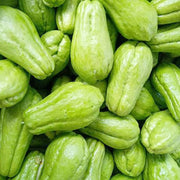 Green Chayote Seeds