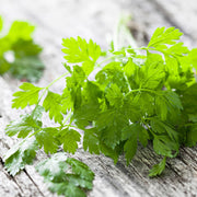Curled Chervil Seeds, Herbal