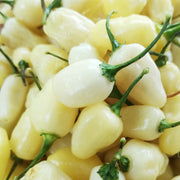 Light Yellow Chili Seeds