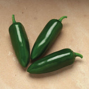 Capsicum annuum Chili Pepper Seeds
