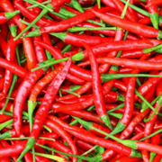 Red Chilli Seeds