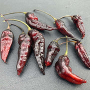 Black Bhut Jolokia Chilli Pepper Seeds