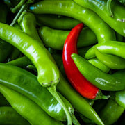 Mix Serrano Chilli Pepper Seeds