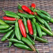 Mix Serrano Chilli Pepper Seeds