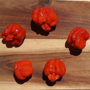 Breath Chilli Seeds