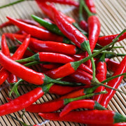 Red Chilli Seeds