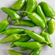Bullet Chilli Seeds