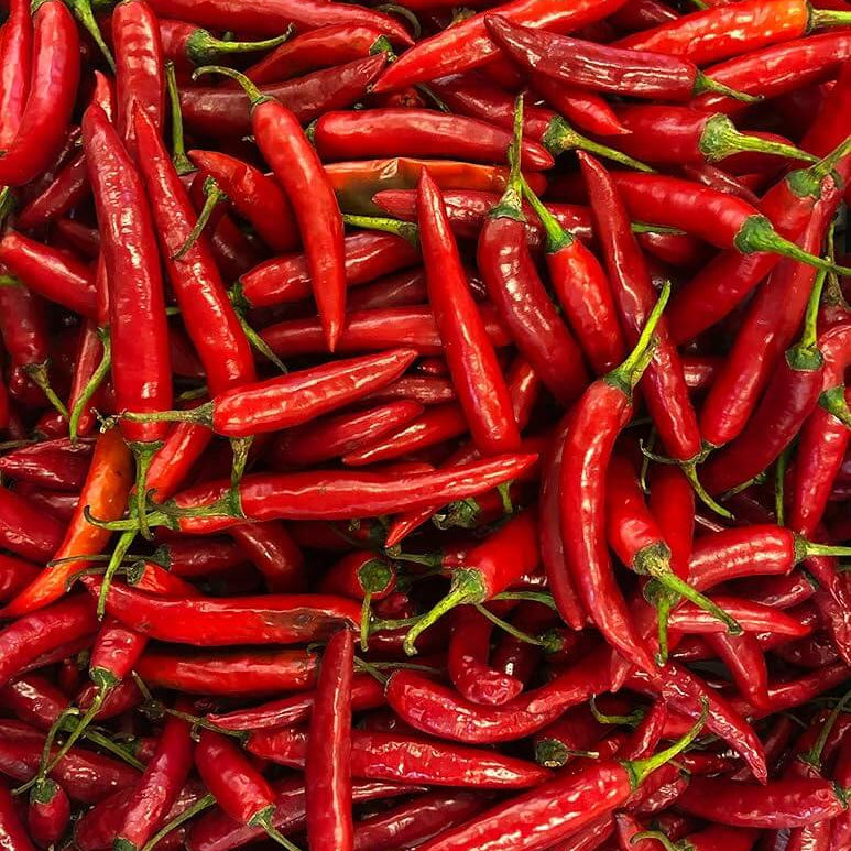 Red Chilli Seeds