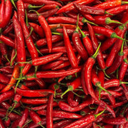 Red Chilli Seeds