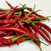 Red Chilli Seeds