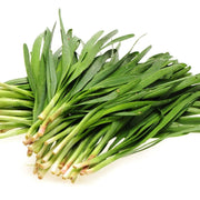 Aromatic Chinese Chive Seeds, Herbal