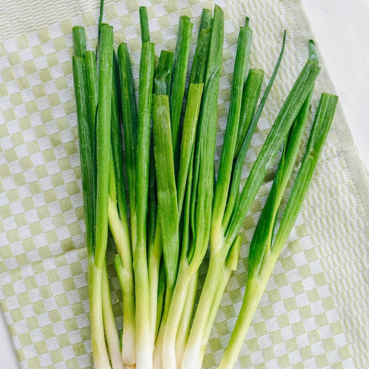 Aromatic Chinese Chive Seeds, Herbal