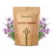 Chive Seeds – Allium schoenoprasum