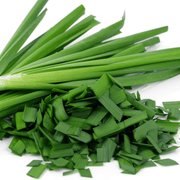 Chive Seeds - Herbal Plant for Home Gardens Seeds