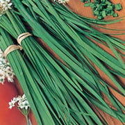 Chinese Chive Seeds, Herbal
