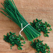 Chive Seeds - Herbal Plant for Home Gardens Seeds