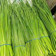 Garlic Chive Seeds, Herbal