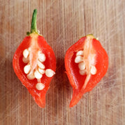 Chupetinha Pepper Seeds