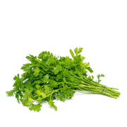 Cilantro Coriander Seeds - Herbal Seeds