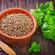 Cilantro Seeds - All In One For Home Gardens