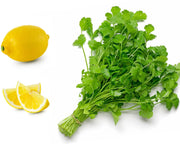 Organic Dwarf Lemon Cilantro Seeds, Herbal