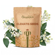 Clematis Seeds – Clematis spp.